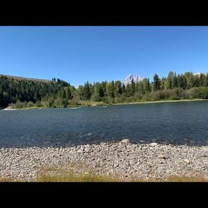 Meet your Posher, Greta